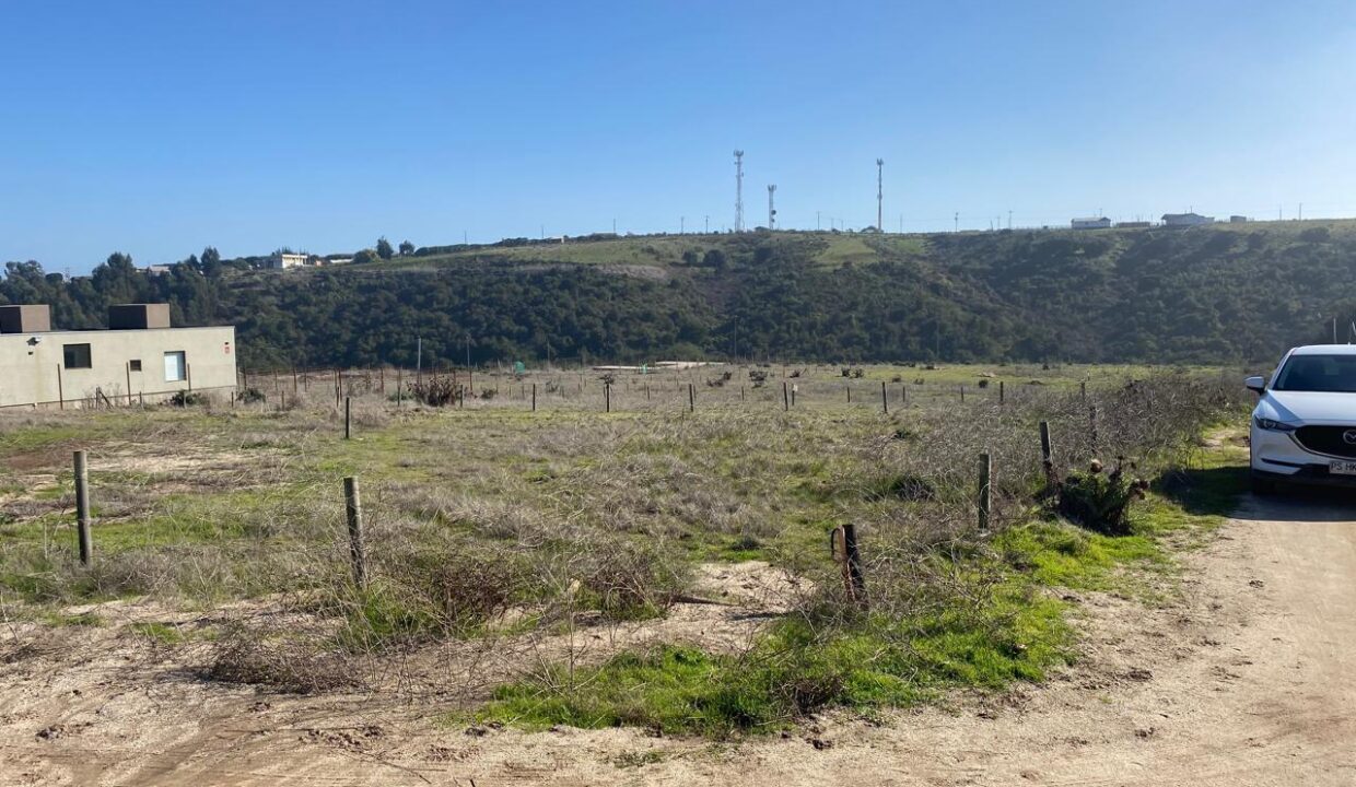 Imagen de WhatsApp 2025-06-25 a las 14.28.04_0ec07eb0